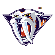 logo Nashville Predators(49)