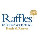 logo Raffles International