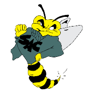 logo Sacramento State Hornets(37)