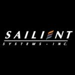 logo Sailint Systems