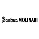 logo Sambuca Molinari