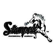 logo San Bernardino Stampede
