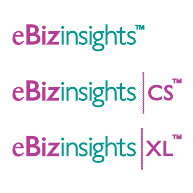 logo eBizinsights