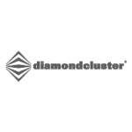 logo DiamondCluster(35)
