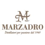 logo Distilleria Marzadro