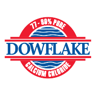 logo Dowflake