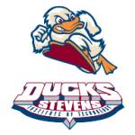 logo Ducks