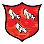 logo Dundalk FC