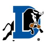 logo Durham Bulls(196)