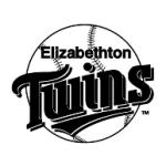 logo Elizabethton Twins