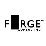 logo Forge Consulting(69)