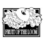 logo Fruit Of The Loom(202)