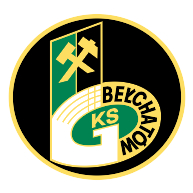 logo GKS Belchatow(48)
