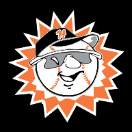 logo Hagerstown Suns(12)