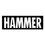 logo Hammer(40)