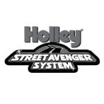 logo Holley(40)