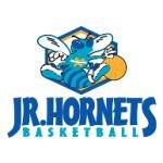 logo Jr Hornets Basketball