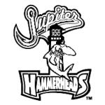 logo Jupiter Hammerheads(96)