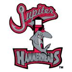 logo Jupiter Hammerheads