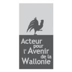 logo Acteur pour l'Avenir de la Wallone