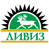 logo Liviz St Peterburg