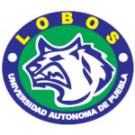 logo Lobos UAP