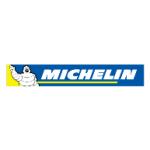 logo Michelin(45)