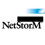 logo NetStorM