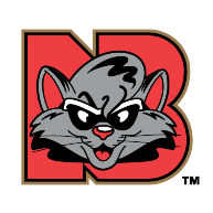 logo New Britain Rock Cats(155)