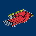 logo New Jersey Cardinals(176)