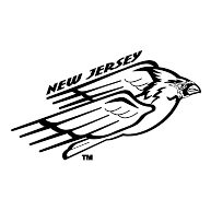 logo New Jersey Cardinals