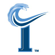 logo Norfolk Tides(38)