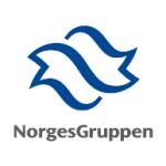 logo NorgesGruppen(41)