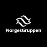 logo NorgesGruppen(42)