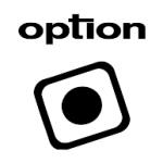 logo Option