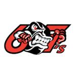 logo Ottawa 67's(167)