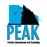 logo PEAK(33)