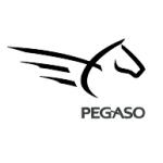 logo Pegaso