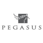 logo Pegasus(46)