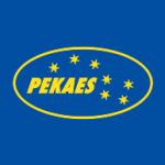 logo Pekaes(52)