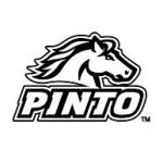 logo Pinto(101)