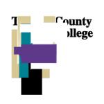 logo Tarrant County College(89)