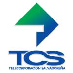 logo TCS(141)