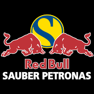 logo Red Bull Sauber Petronas(72)