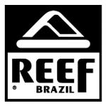 logo Reef Brazil