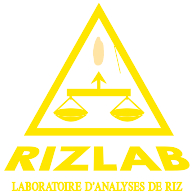 logo Rizlab