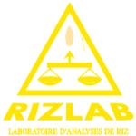 logo Rizlab