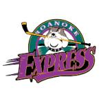 logo Roanoke Express