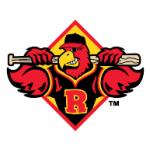 logo Rochester Red Wings(16)