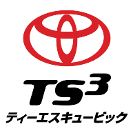 logo TS3 Card